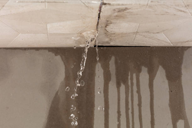 Professional Water Damage Inspection technician working in Shenandoah, LA